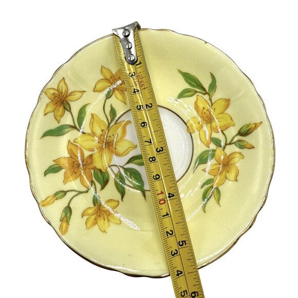 Paragon Double Warrent Yellow Forsythia Flowers Floral Tea Cup & Saucer - Picture 12 of 14